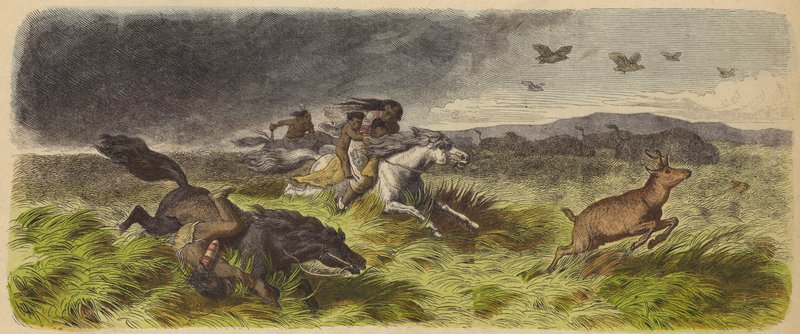 Amerikai őslakosok és préritűz elől menekülő állatok (színes metszet) alkotó: German School
