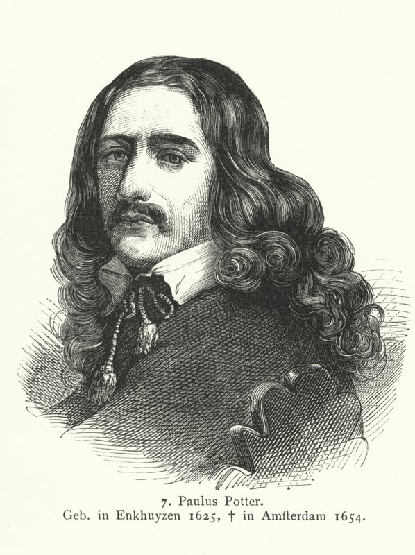 Paulus Potter, a holland aranykor festője (metszet) alkotó: German School
