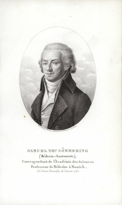 Samuel Thomas von Soemmerring alkotó: German School