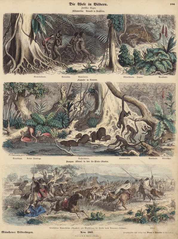 Dél-Amerika: dzsungel Brazíliában; folyópart Guyanában; Az indiánok meglepték a Gauchókat a Pampákon, és elindultak marhacsordájukkal. (színes gravírozás) alkotó: German School