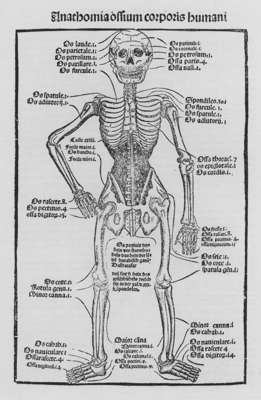Hieronymus Brunschwig Cirurgia könyve alkotó: German School