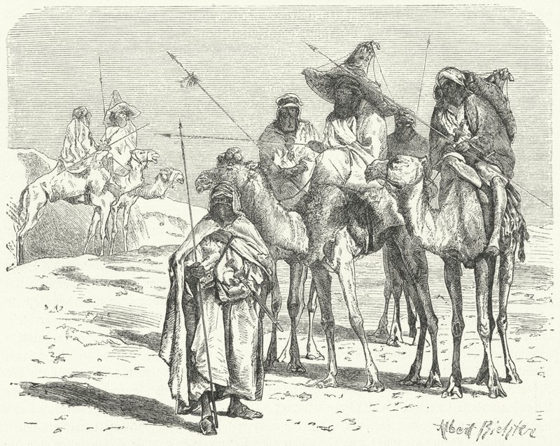 tuaregek (metszet) alkotó: German School