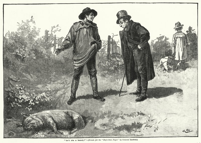 – Hát nem szépség? (metszés) alkotó: Gordon Frederick (after) Browne