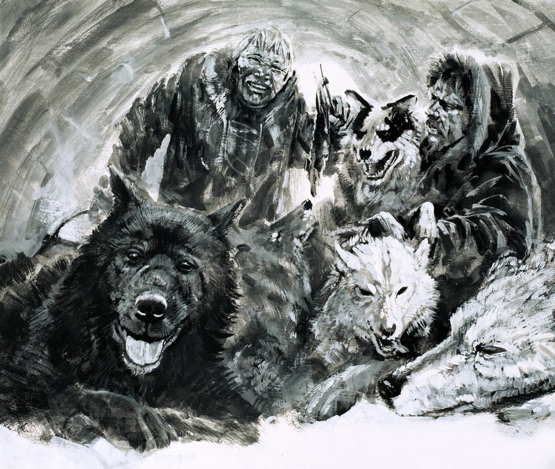 Vilhjalmar Stefansson felfedezett szőke eszkimók (gouache, papír) alkotó: Graham Coton