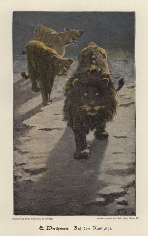 On the Raid (színes metszet) alkotó: Gustav Wertheimer