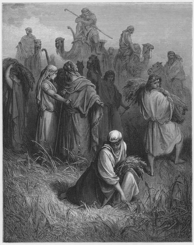 Gustave Dore Biblia: Boáz és Ruth alkotó: Gustave Dore
