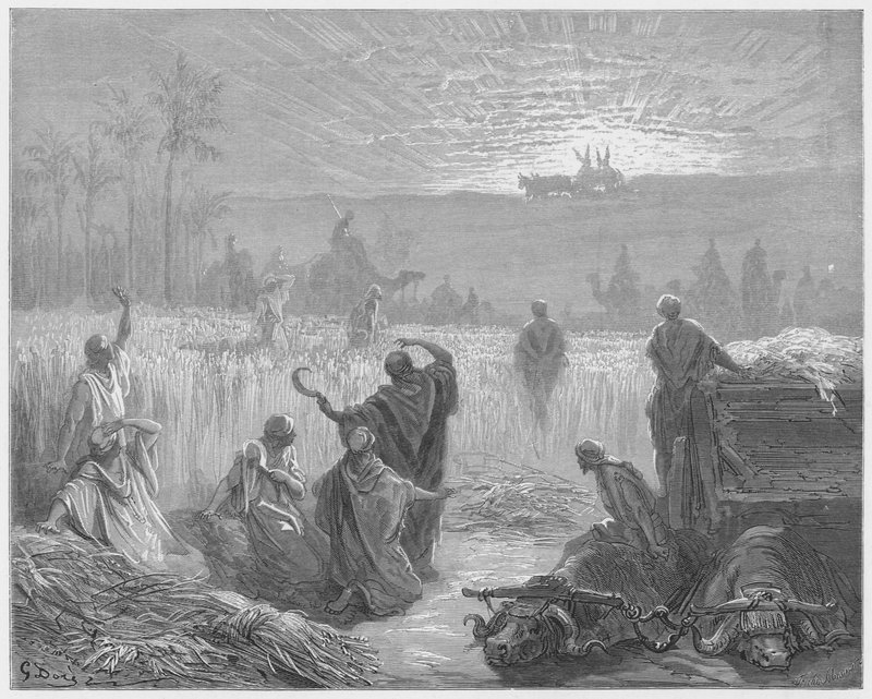 Gustave Dore Biblia: A bárka visszatérése Beth-Semesbe alkotó: Gustave Dore