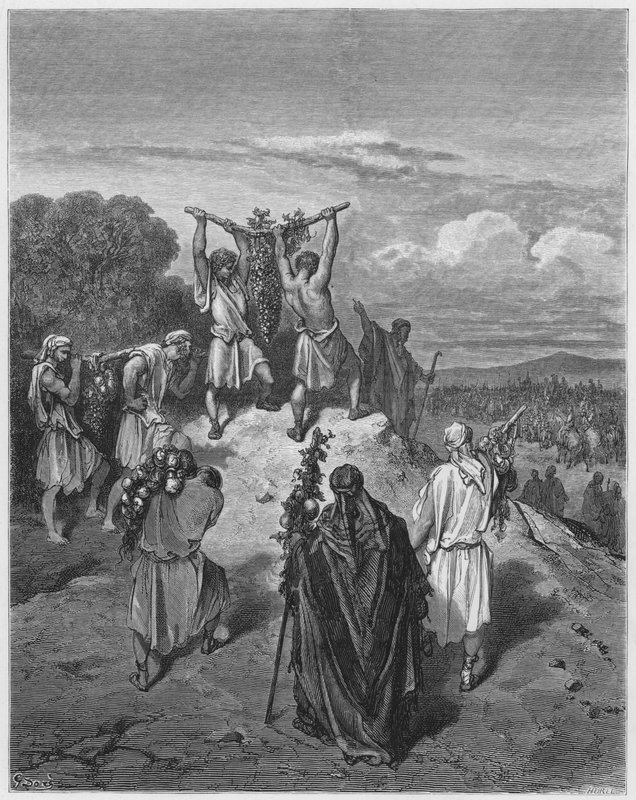 Gustave Dore Biblia: A kémek visszatérése az ígéret földjéről alkotó: Gustave Dore