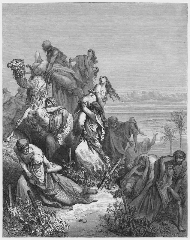 Gustave Dore Biblia: Benjámin fiai, akik elhurcolják Jábes-Gileád szüzeit alkotó: Gustave Dore