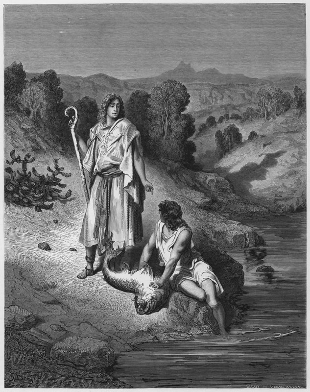 Gustave Dore Biblia: Tóbiás és az angyal alkotó: Gustave Dore