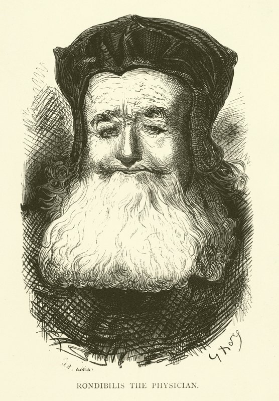 Illusztráció Rabelais műveihez alkotó: Gustave after Dore