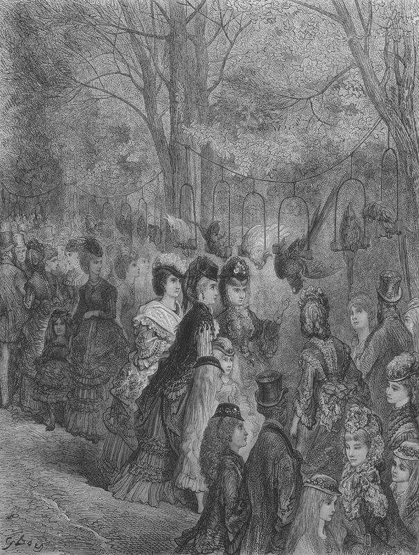 Állatkert, A madarak alkotó: Gustave after Dore