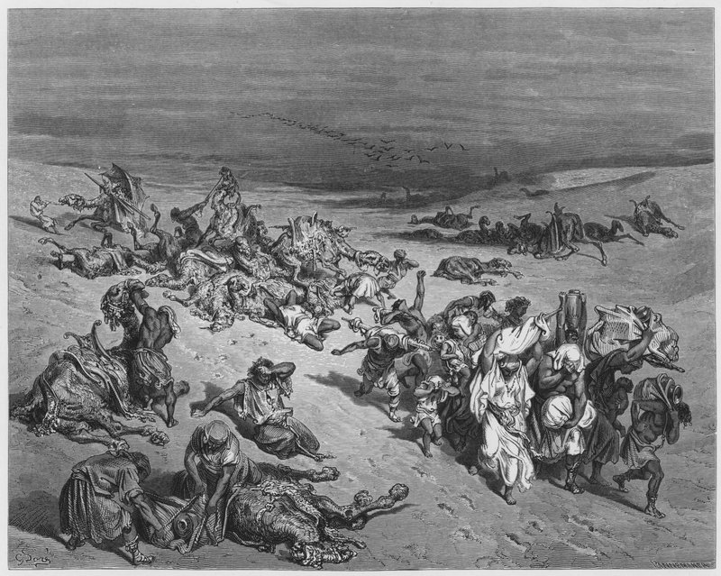 Gustave Dore Biblia: A fenevadak murréja alkotó: Gustave Dore
