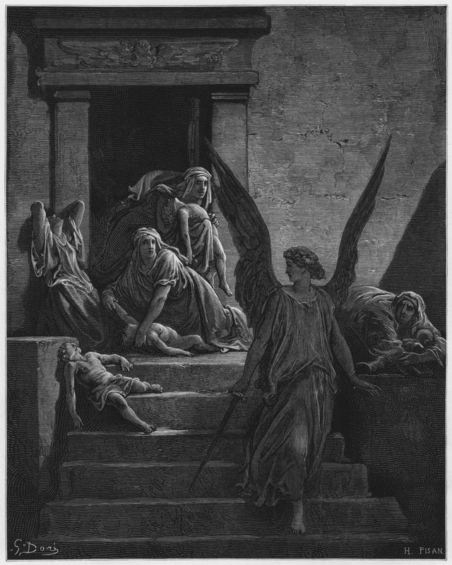 Gustave Dore Biblia: Az elsőszülött megölt alkotó: Gustave Dore