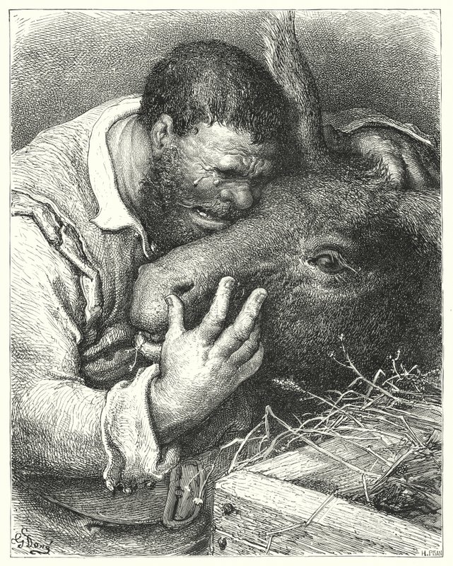 Gustave Dore Don Quijote: „Gyere ide – mondta –, barátom, te hűséges társam és osztozótárs utazásaimban és nyomorúságaimban” (metszet) alkotó: Gustave Dore
