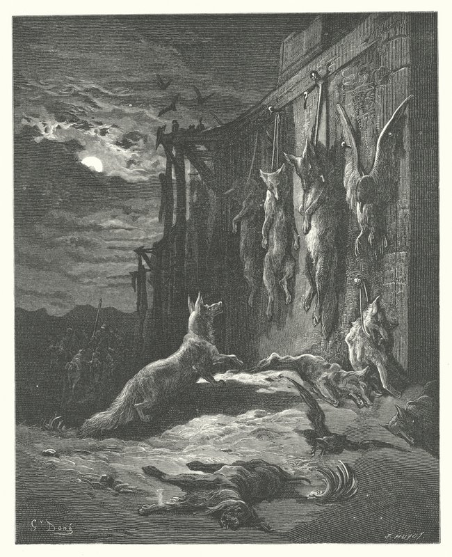 La Fontaine meséi: Fontaine: Az angol róka (metszet) alkotó: Gustave Dore