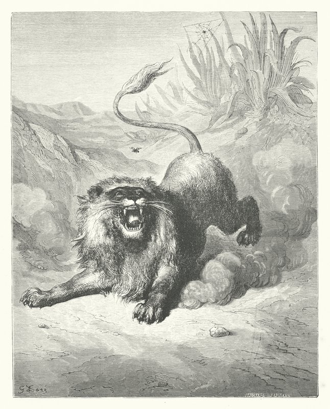 La Fontaine meséi: Fontaine: Az oroszlán és a szúnyog (metszet). alkotó: Gustave Dore