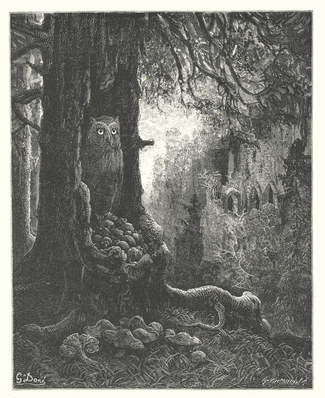 La Fontaine meséi: Fontaine: A bagoly és az egerek (metszet). alkotó: Gustave Dore