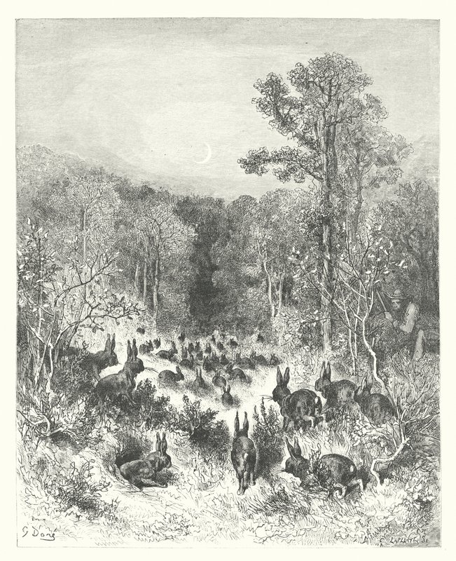 La Fontaine meséi: Fontaine: A nyulak (metszet) alkotó: Gustave Dore