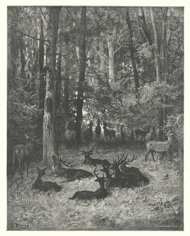 La Fontaine meséi: Fontaine: A beteg szarvas (metszet). alkotó: Gustave Dore