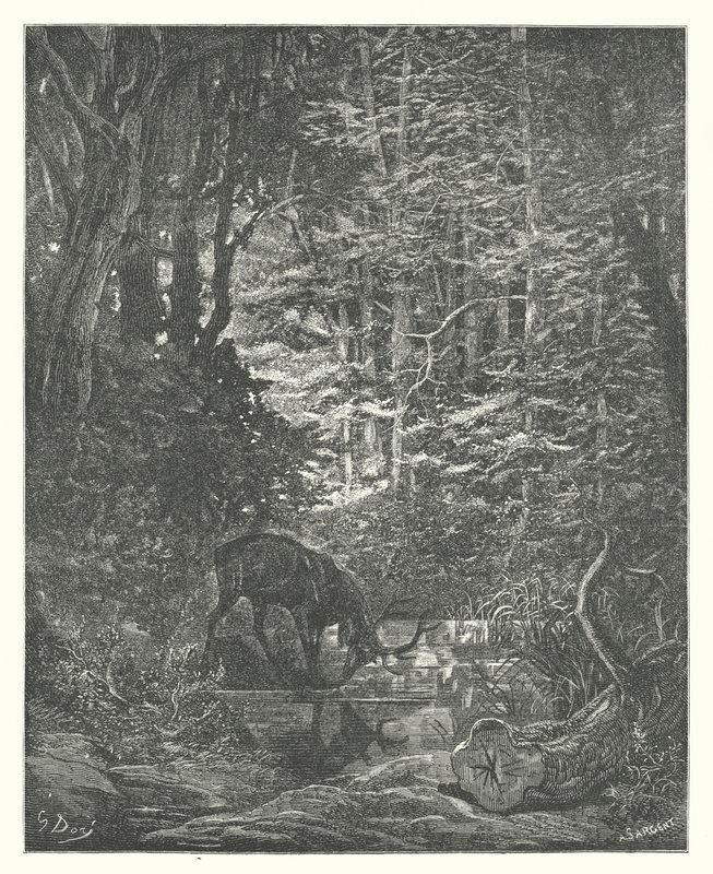La Fontaine meséi: A szarvas, amint a patakban nézelődik (metszet) alkotó: Gustave Dore