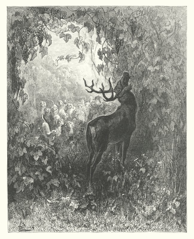 La Fontaine meséi: A szarvas és a szőlő (metszet): A szarvas és a szőlő (metszet) alkotó: Gustave Dore