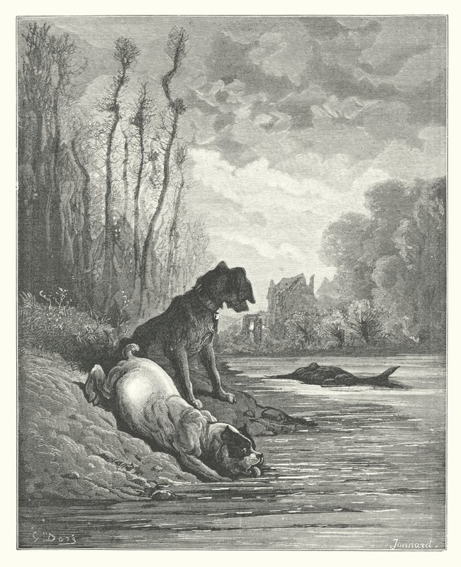 La Fontaine meséi: Fontaine: A két kutya és a halott szamár (metszet). alkotó: Gustave Dore