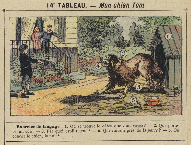 Tom kutyám (színes litho) alkotó: Gustave Fraipont