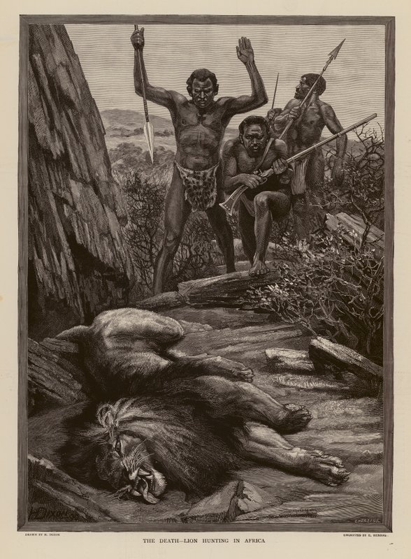 Oroszlánvadászat Afrikában (metszet) alkotó: H. Dixon