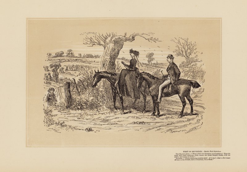 Egy nagyon szép mező a tükörképhez (metszet) alkotó: Hablot Knight (1815 92) Browne