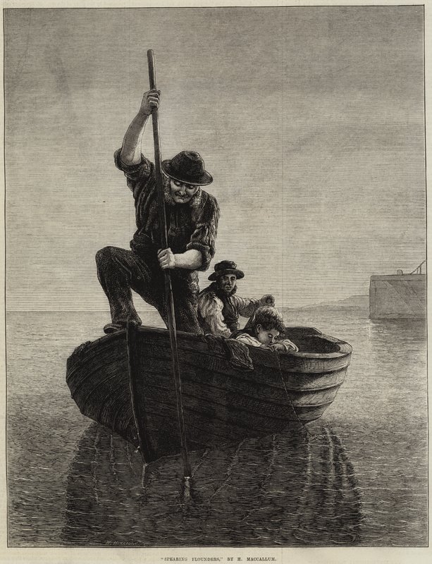 Spearing lepényhal alkotó: Hamilton Macallum