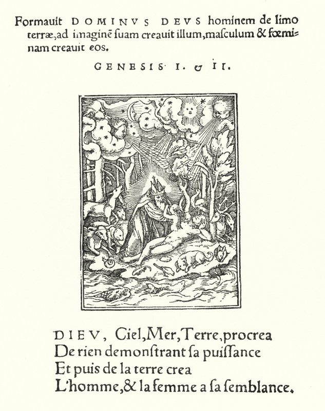 A teremtés (metszet) alkotó: Hans (after) Holbein the Younger
