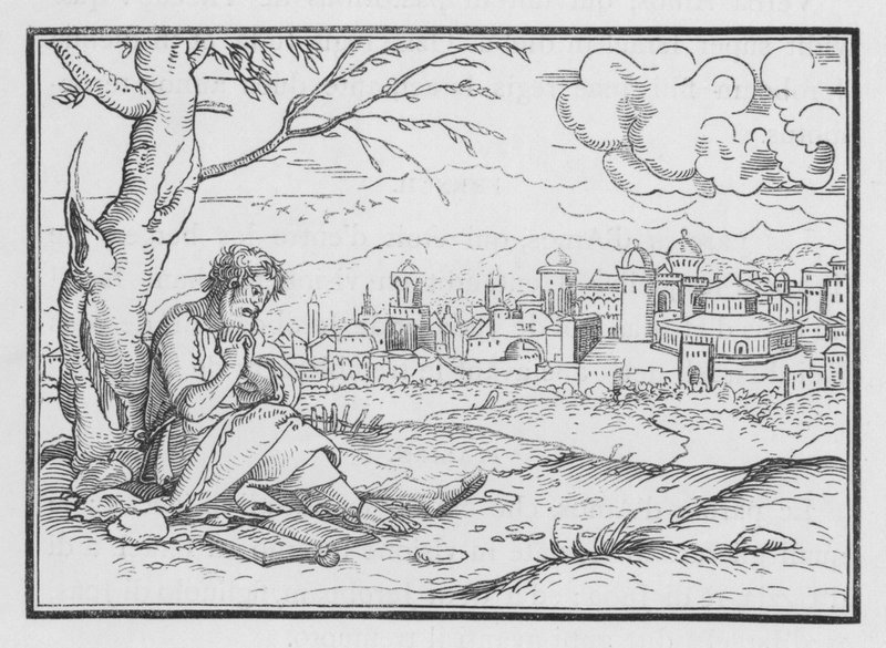 Jonah Repining at Gods Mercy, Jonah IV, 5 alkotó: Hans after Holbein the Younger