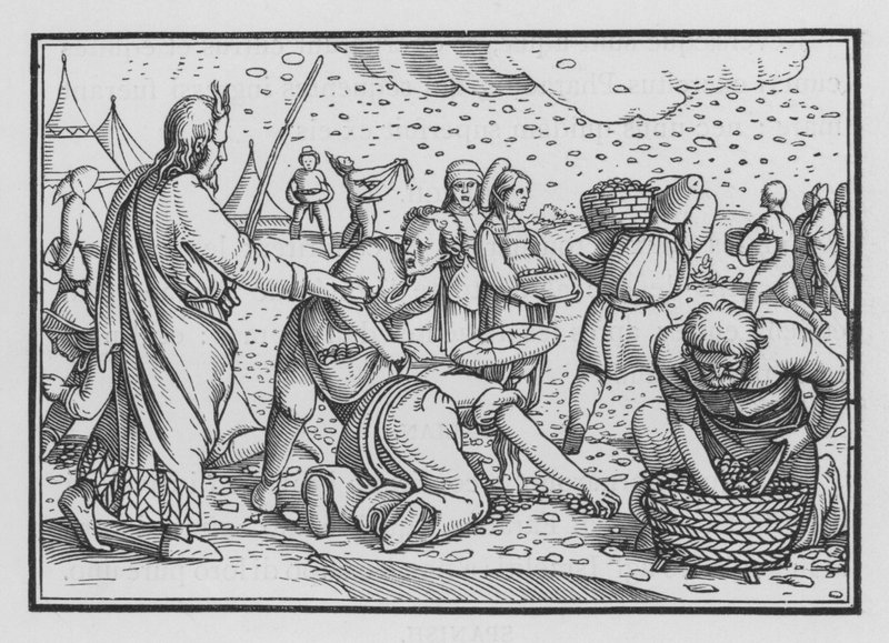 Az izraeliták zúgolódnak, hogy akarnak kenyeret, 2. Exodus, 4 alkotó: Hans after Holbein the Younger