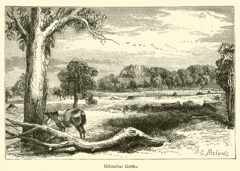 Gibraltári sziklák alkotó: Harden Sidney Melville