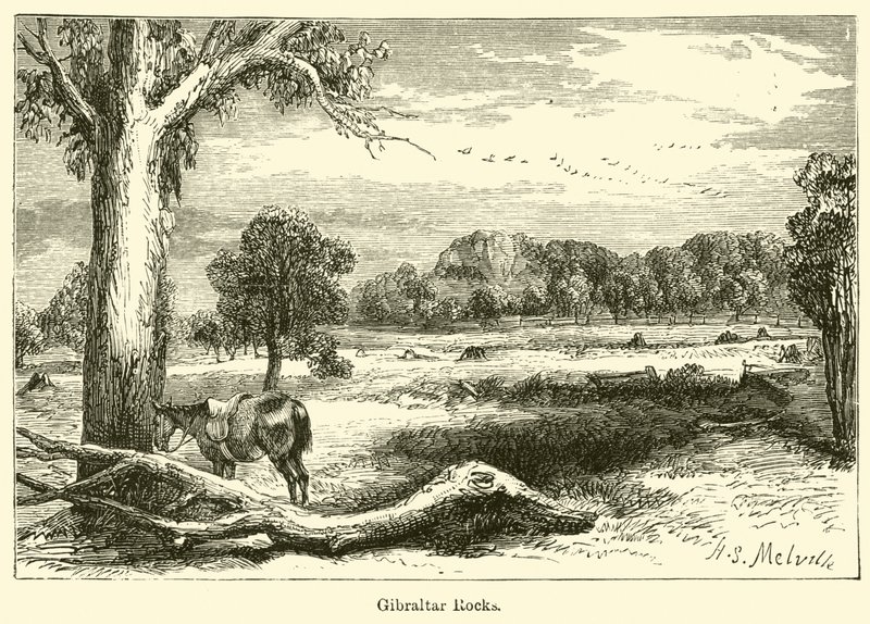 Gibraltári sziklák (metszet) alkotó: Harden Sidney (after) Melville
