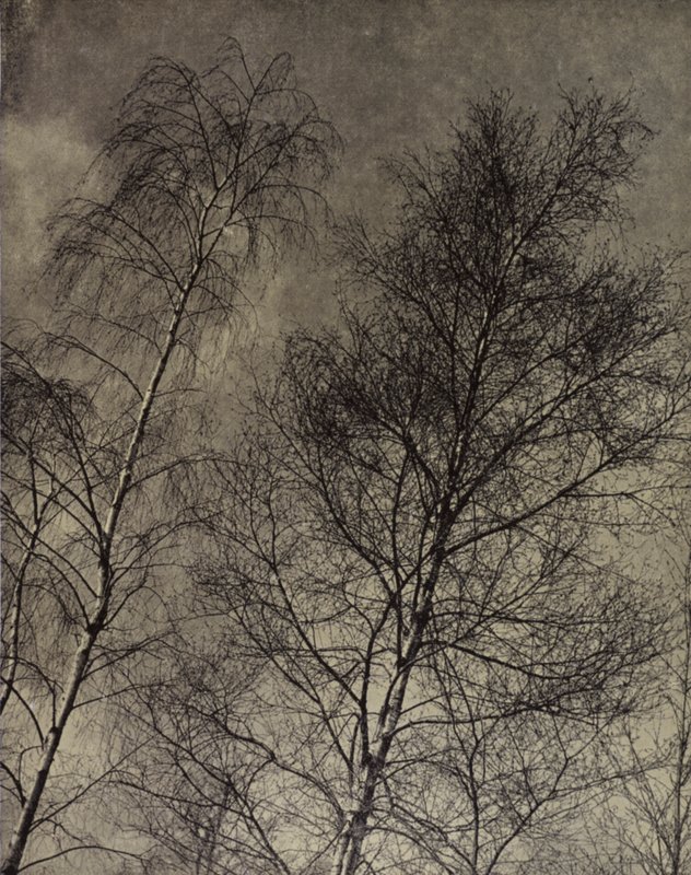 varázsuk az írás Folyékony égbolt mentén, Robert Bridges (f/w fotó) alkotó: Harold Burdekin