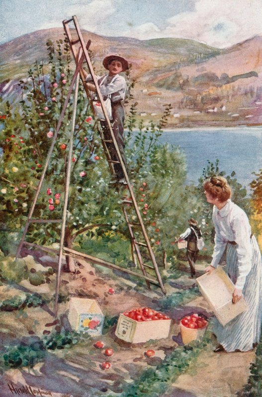 Gyümölcsfarm Nelsonban, Brit Kolumbiában alkotó: Harold Copping
