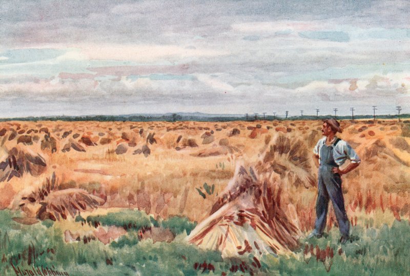 A manitobai búzamezők mentén alkotó: Harold Copping