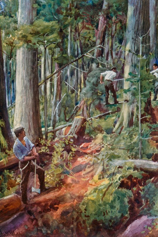 Fakitermelés British Columbiában alkotó: Harold Copping