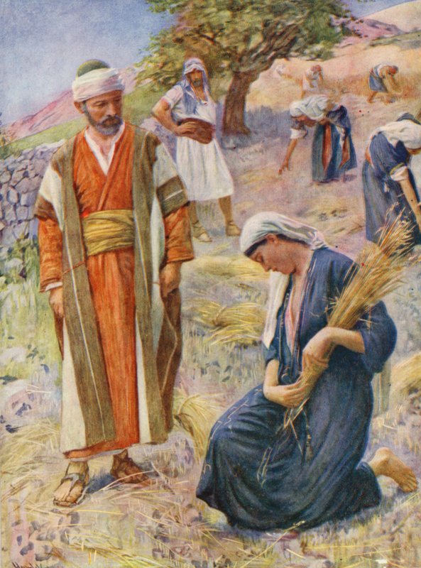 Ószövetség: Ruth a mezőn szüretelt (színes litográfia) alkotó: Harold Copping