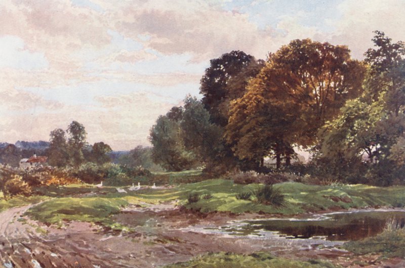 A Corner of Esher Common (színes litográfia) alkotó: Harold Sutton Palmer