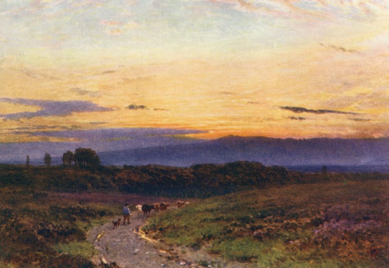 Egy nyári este, Milford Common (színes litográfia) alkotó: Harold Sutton Palmer