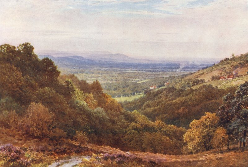 A Wide Stretch, a Gibbet, Hindhead (színes litográfia) alkotó: Harold Sutton Palmer