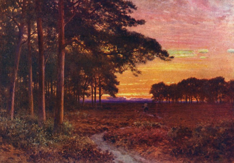 Este a mocsarakon, Hindhead (színes litográfia) alkotó: Harold Sutton Palmer