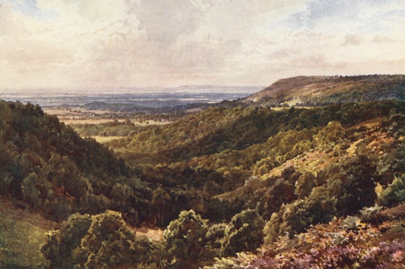 A Peaslake feletti hegyekből, Gomshall közelében (színes litográfia) alkotó: Harold Sutton Palmer