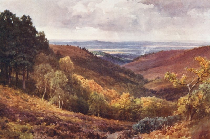 Hindhead, The Punchbowl, északra nézve (színes litográfia) alkotó: Harold Sutton Palmer