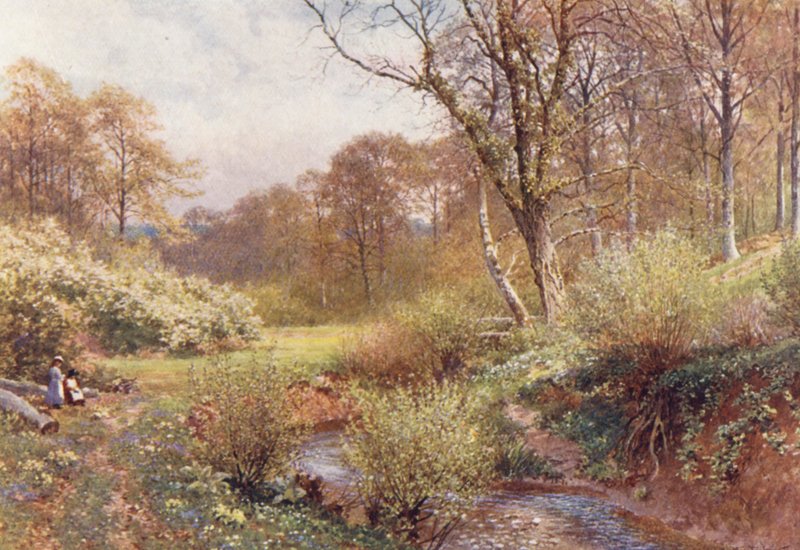 In Spring Woods, Ockley (színes litográfia) alkotó: Harold Sutton Palmer