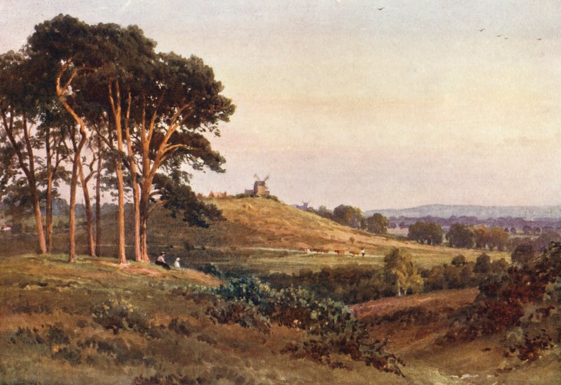 Reigate Heath, esti (színes litográfia) alkotó: Harold Sutton Palmer