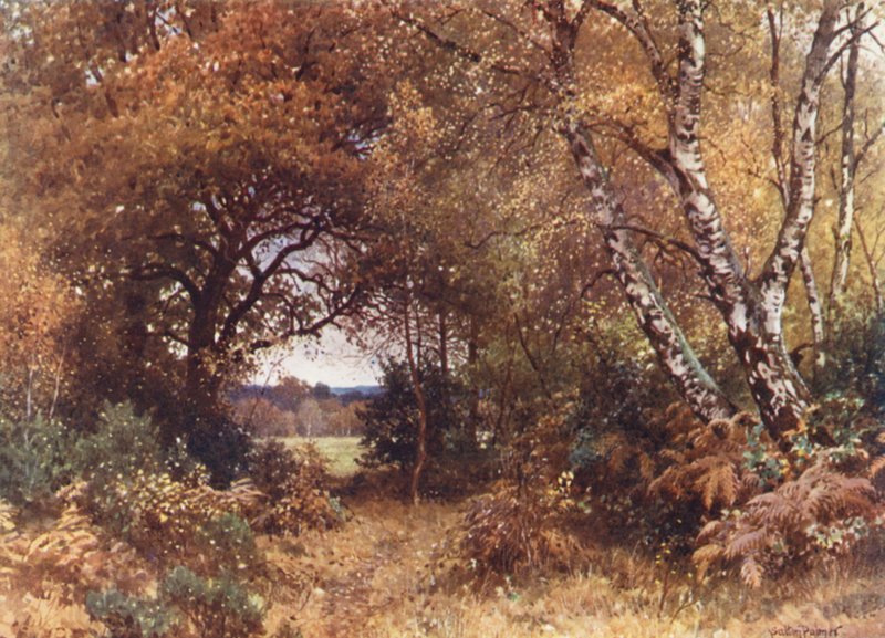 The Edge of a Wood, Royal Common (színes litográfia) alkotó: Harold Sutton Palmer